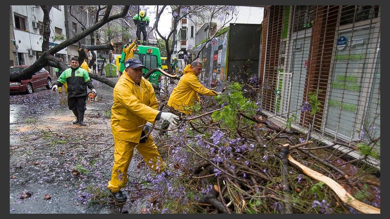 Operarios municipales trabajan para solucionar los inconvenientes de la tormenta del lunes. 