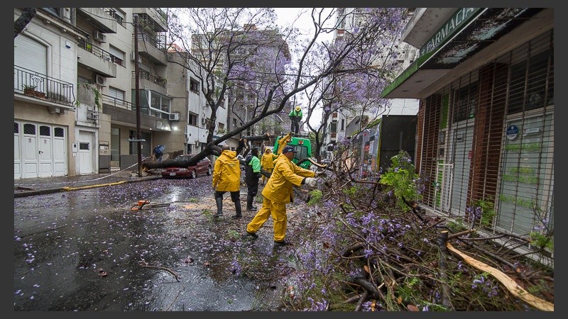 Operarios de la Municipalidad trabajando desde temprano.
