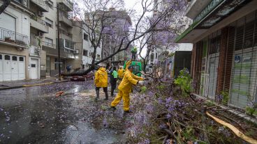 Operarios de la Municipalidad trabajando desde temprano.