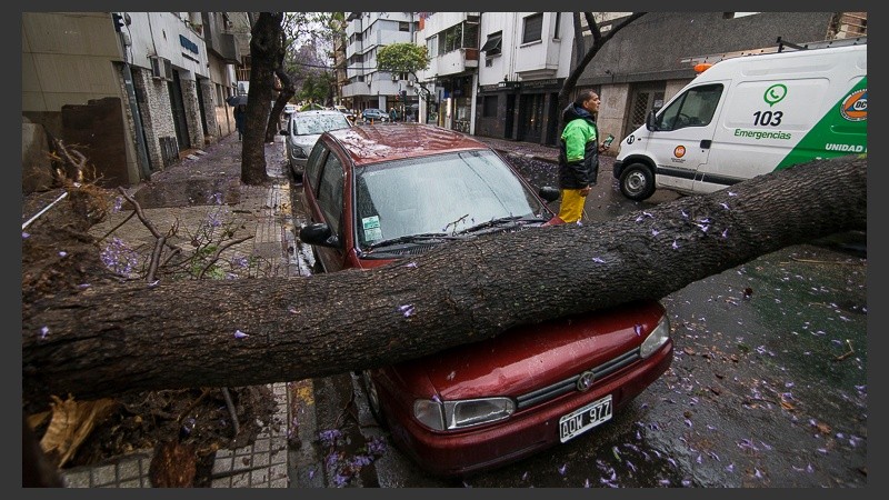 El árbol que se cayó en un auto en Montevideo y Corrientes. 