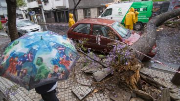 Paraguas y árboles caídos forman parte de las instantáneas de este lunes.