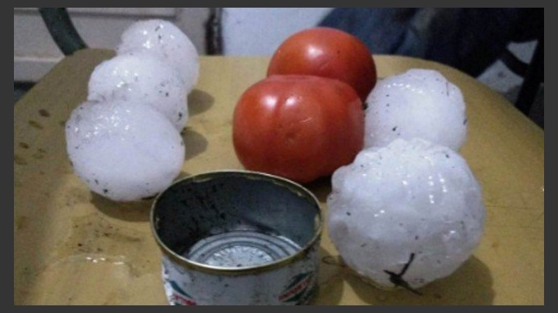 Cualquier producto de la huerta vino bien para comparar el tamaño de las piedras. 