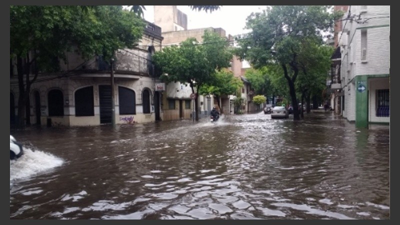 Drenar calles y retirar árboles caídos, la prioridad de la Municipalidad.