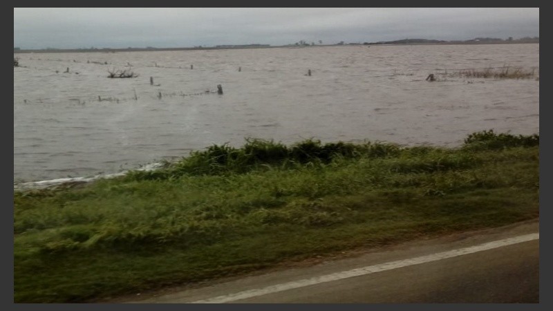 El intenso caudal de agua inundaba los campos y llegaba hasta el borde de la ruta 9, a la altura de Carcarañá. 