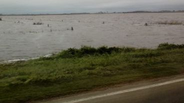 El intenso caudal de agua inundaba los campos y llegaba hasta el borde de la ruta 9, a la altura de Carcarañá.