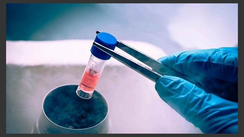 Entre los 36 - 37 años la declinación ovárica toma mayor rapidez. 