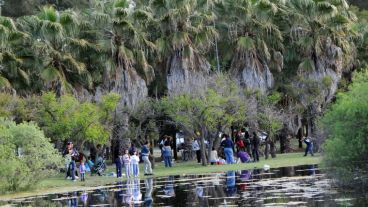 El Bosque de los Constituyentes, un espacio que vale la pena conocer.