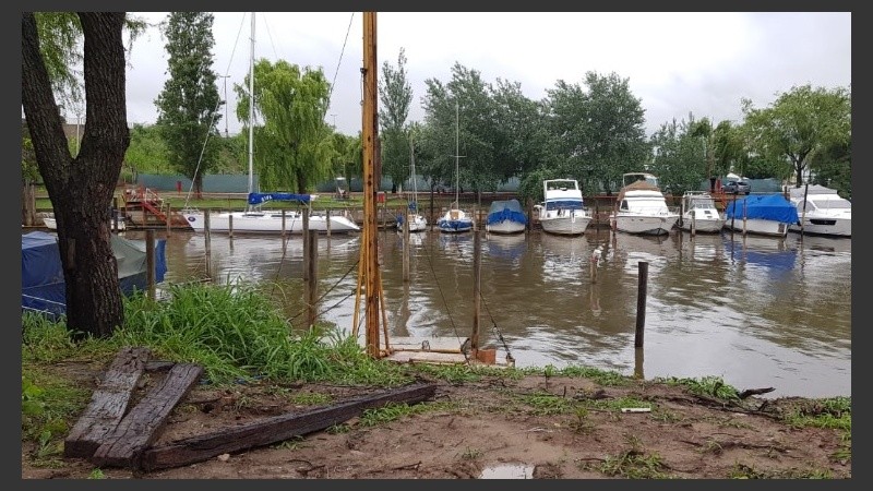 La grúa acuática se desplomó luego de retirar una embarcación del agua.