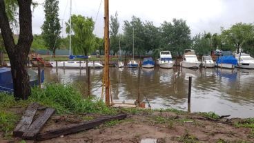 La grúa acuática se desplomó luego de retirar una embarcación del agua.