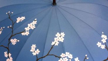 Cielo azul con promesa de lluvia