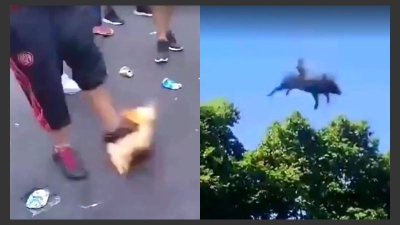 Imágenes de las agresiones.