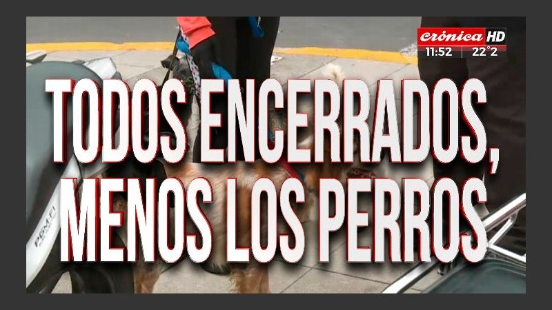 Bajo la consigna “El show del G20”, Crónica se hizo un festín.