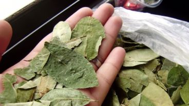 El "coqueo" (masticar hojas de coca) en todo momento y lugar es un hábito que proviene de los pueblos originarios de la zona andina.