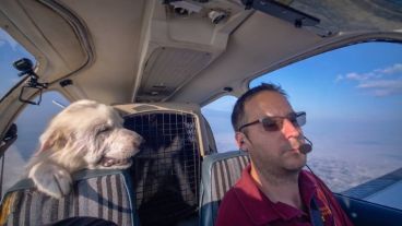 El piloto que salva perros en plena tarea.