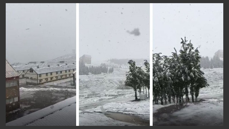 El territorio malargüino lució completamente blanco en el marco de un llamativo fenómeno meteorológico.