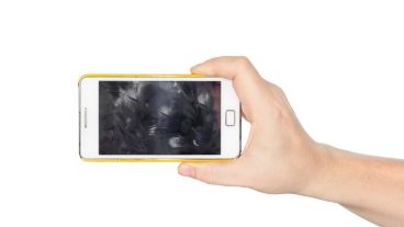 Un sondeo realizado ha descubierto que el 40 por ciento de los encuestados llevaba sus celulares al baño de su lugar de trabajo.