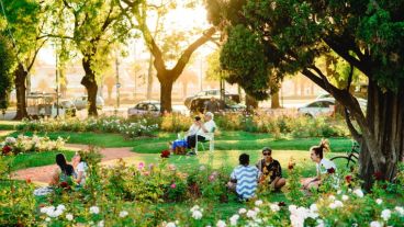 Vivir más cerca de zonas verdes, como parques, puede ser un factor que protege frente a la enfermedad cardiovascular y cerebrovascular.