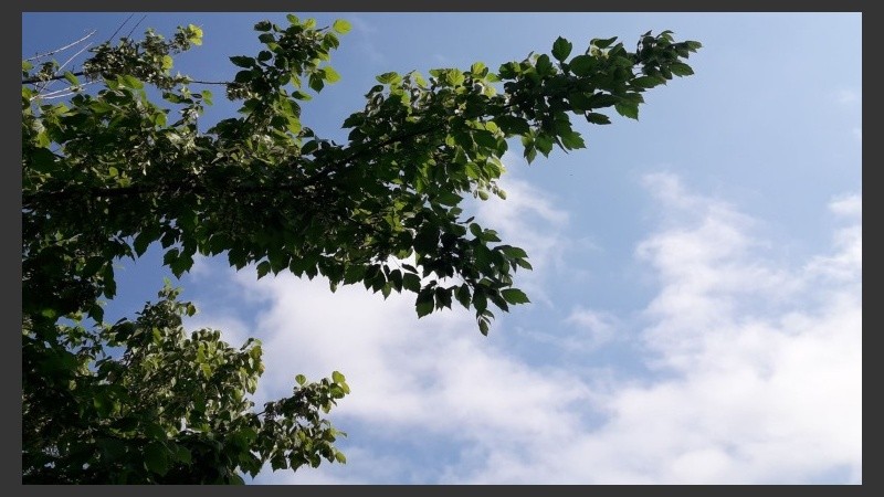 El pronóstico anuncia tormenta; el cielo aún no.