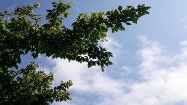 El pronóstico anuncia tormenta; el cielo aún no.