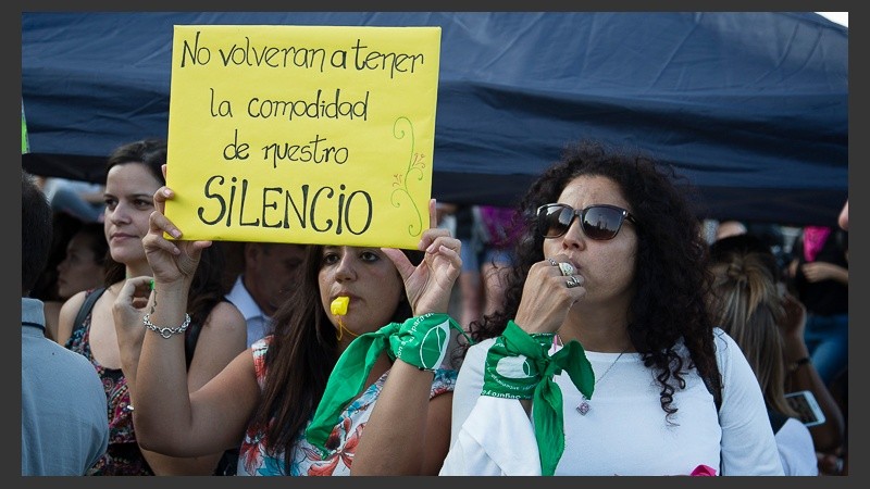 Los carteles mostraron diferentes consignas sobre la problemática.