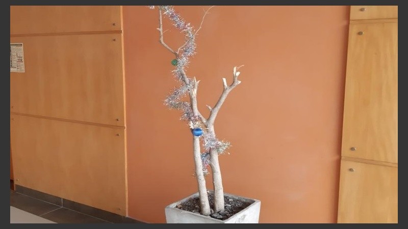 El triste árbol de Navidad que generó polémica en las redes.