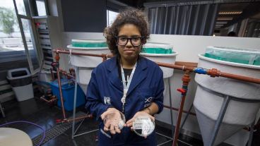 María Cecilia Quaglino, una de las integrantes del estudio.  