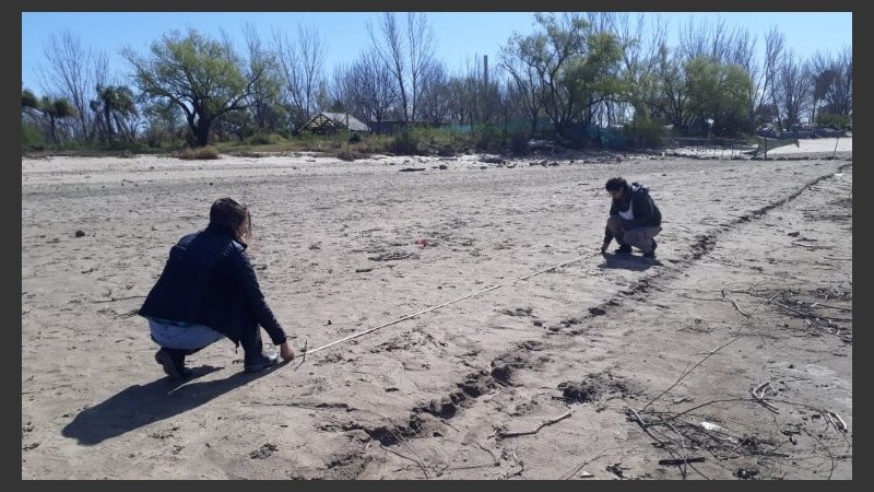 El equipo trazó cuadrículas y tomó muestras de seis playas.