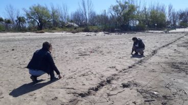 El equipo trazó cuadrículas y tomó muestras de seis playas.