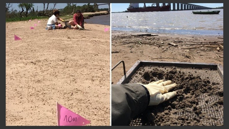 El trabajo de campo realizado en ambas márgenes del Paraná.