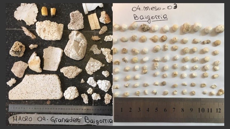 Muestras de macroplásticos y mesoplásticos hallados en Granadero Baigorria.