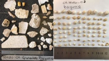 Muestras de macroplásticos y mesoplásticos hallados en Granadero Baigorria.