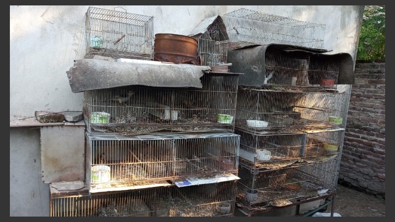 El procedimiento fue llevado a cabo por la justicia de San Lorenzo.