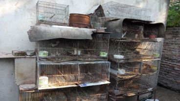 El procedimiento fue llevado a cabo por la justicia de San Lorenzo.