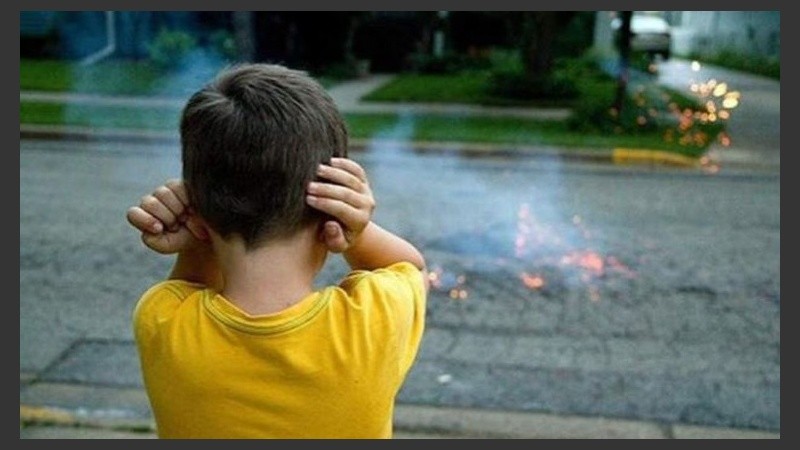 Hay niños que necesitan más apoyo y otros que pueden tener mayor autonomía e independencia.