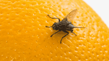 El hombre solo sufrió heridas superficiales.
