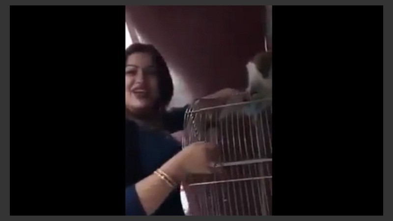 El hecho ocurrió en un local de mascotas de la ciudad de Mansura, Egipto.