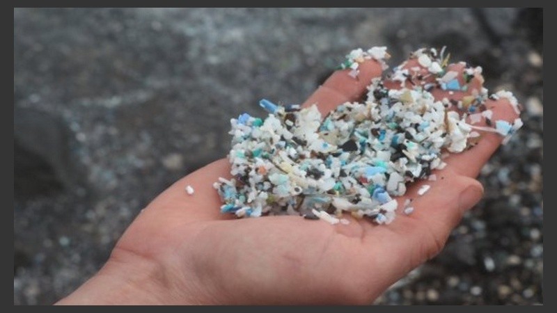 Investigaciones comprueban la presencia de “microplásticos” contaminantes en los tejidos comestibles del pescado comercial.
