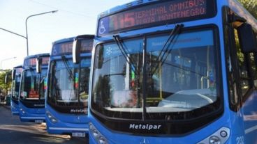 Los coches de El Cacique son de color celeste.