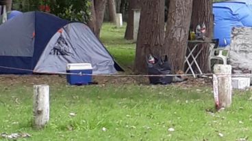 La zona de carpas donde la chica fue encontrada.