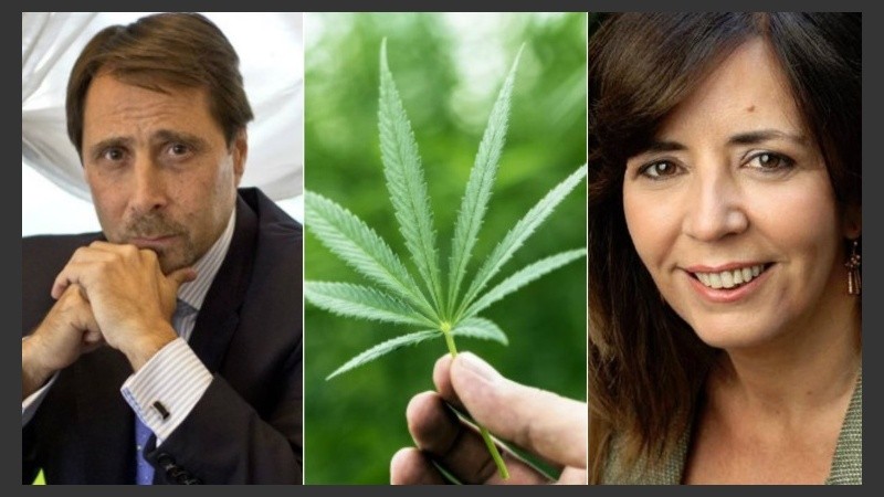  “La diputada marihuanera. La diputada que fomenta y hace apología de la drogas