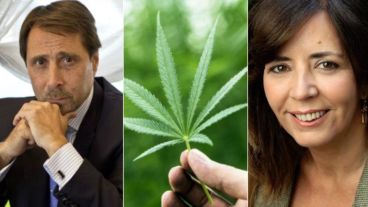 “La diputada marihuanera. La diputada que fomenta y hace apología de la drogas", tuiteó Feinmann. Y arrobó a Cerutti.