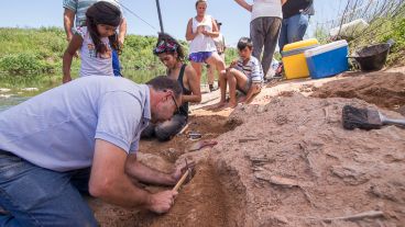 Los trabajos de excavación en Arroyo Seco. El hallazgo revolucionó a grandes y chicos en la región.