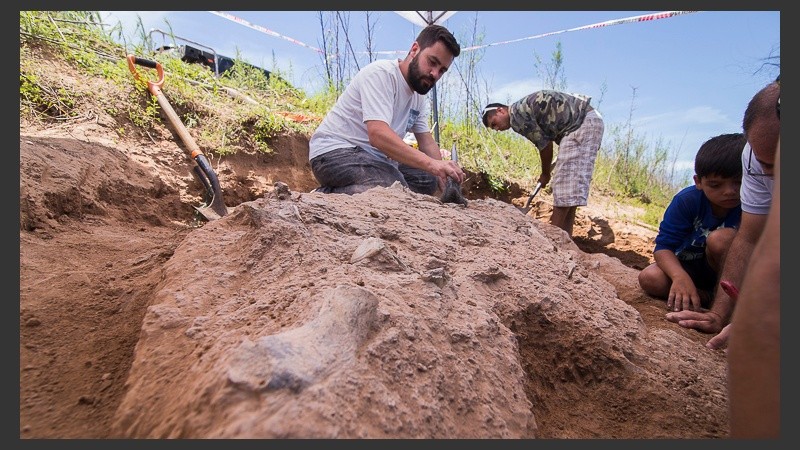 Los trabajos de excavación en Arroyo Seco. El hallazgo revolucionó a grandes y chicos en la región. 