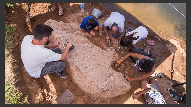 Los trabajos de excavación en Arroyo Seco. El hallazgo revolucionó a grandes y chicos en la región. 