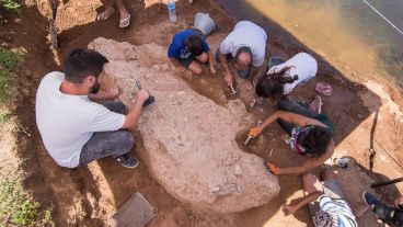 Los trabajos de excavación en Arroyo Seco. El hallazgo revolucionó a grandes y chicos en la región.