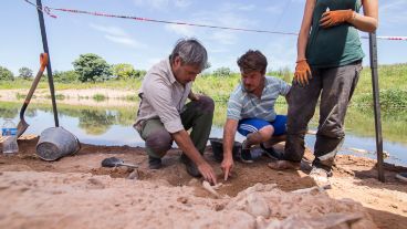 Los trabajos de excavación en Arroyo Seco. El hallazgo revolucionó a grandes y chicos en la región.