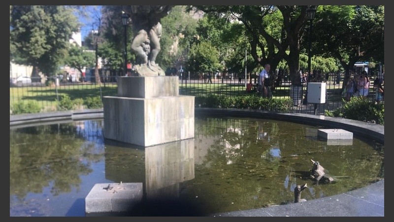 Los cuatro patos aparecieron en el agua de la fuente. 