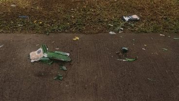 La concejala de Cambiemos se quejó por las condiciones del parque de las Colectividades.