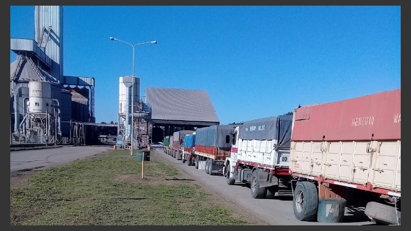 El camionero sufrió el siniestro en la empresa Dreyfus del cordón industrial.