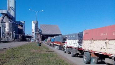 El camionero sufrió el siniestro en la empresa Dreyfus del cordón industrial.